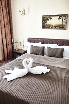 Olymp Kazan: Room SUITE STANDARD - photo 37