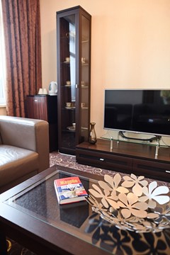 Olymp Kazan: Room SUITE STANDARD - photo 38
