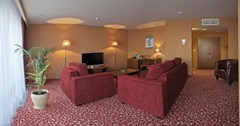 Grand Hotel Kazan: Room SUITE CAPACITY 1 - photo 11