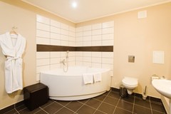 Davydov Hotel: Room SUITE STANDARD - photo 33