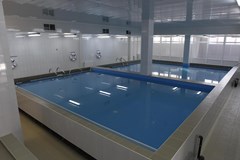 Ryan Johnson: Pool - photo 11