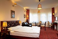 Usadba: Room SUITE STANDARD - photo 8