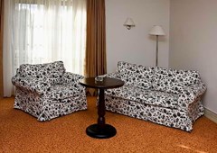 Usadba: Room JUNIOR SUITE CAPACITY 1 - photo 22
