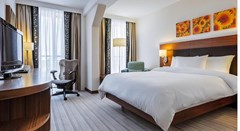 Hilton Garden Inn Krasnodar: Room - photo 7