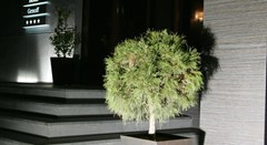 Genoff: General view - photo 7
