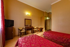 Vizit Hotel: Room TWIN STANDARD - photo 14