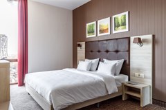 Golden Tulip Krasnodar: Room DOUBLE STANDARD - photo 3