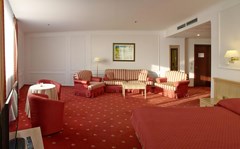 Borodino: Room DOUBLE SINGLE USE CITY VIEW - photo 2