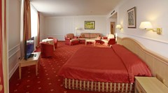 Borodino: Room DOUBLE SINGLE USE CITY VIEW - photo 5