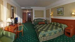 Borodino: Room DOUBLE STANDARD - photo 18
