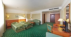 Borodino: Room TWIN STANDARD - photo 26