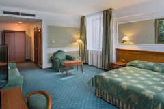 Borodino: Room DOUBLE BUSINESS - photo 29