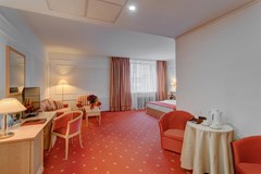 Borodino: Room DOUBLE CITY VIEW - photo 32