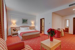 Borodino: Room DOUBLE CITY VIEW - photo 34