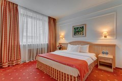 Borodino: Room DOUBLE CITY VIEW - photo 35