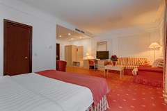 Borodino: Room DOUBLE CITY VIEW - photo 36