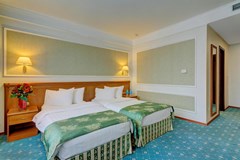 Borodino: Room TWIN CAPACITY 1 - photo 40