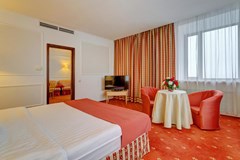 Borodino: Room SUITE STANDARD - photo 43