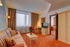 Borodino: Room SUITE STANDARD - photo 46