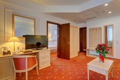 Borodino: Room SUITE STANDARD - photo 47