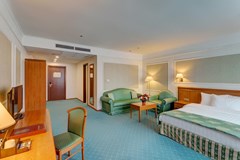 Borodino: Room DOUBLE SINGLE USE STANDARD - photo 49