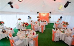 Diamant, Domodedovo: Restaurant - photo 48