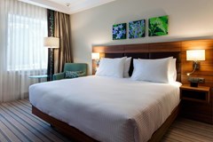 Hilton Garden Inn Moscow New Riga: Room - photo 5