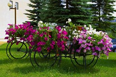 Holiday Inn Moscow - Seligerskaya: Terrace - photo 5