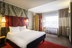 Ibis Moscow Domodedovo Airport: Room DOUBLE STANDARD - photo 9