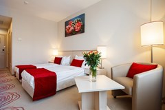 Intourist Kolomenskoe: Room TWIN STANDARD - photo 7
