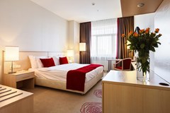 Intourist Kolomenskoe: Room DOUBLE SINGLE USE STANDARD - photo 9