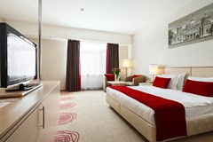 Intourist Kolomenskoe: Room STUDIO STANDARD - photo 19