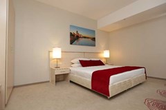 Intourist Kolomenskoe: Room - photo 10
