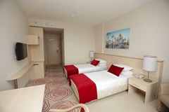 Intourist Kolomenskoe: Room - photo 20