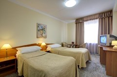 Izmailovo Alfa: Room TWIN STANDARD - photo 24