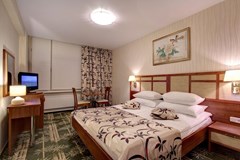 Izmailovo Alfa: Room DOUBLE SUPERIOR - photo 29