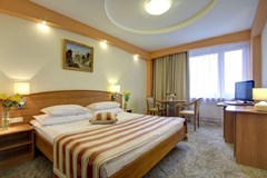 Izmailovo Alfa: Room DOUBLE STANDARD - photo 30
