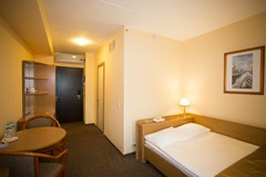 Izmailovo Alfa: Room SINGLE STANDARD - photo 38