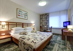 Izmailovo Alfa: Room DOUBLE SINGLE USE STANDARD - photo 49
