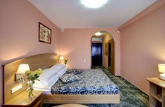 Izmailovo Alfa: Room DOUBLE SINGLE USE STANDARD - photo 52