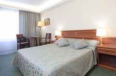 Izmailovo Delta: Room DOUBLE PREMIUM - photo 25