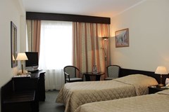 Izmailovo Delta: Room TWIN STANDARD - photo 26