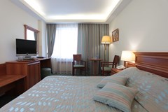 Izmailovo Delta: Room DOUBLE PREMIUM - photo 27
