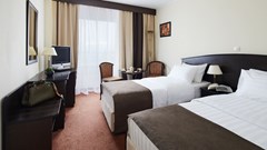 Izmailovo Delta: Room TWIN STANDARD - photo 45