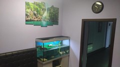 Mini Hotel Tarleon: General view - photo 3
