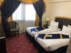 Moscow Holiday Hotel: Room TWIN STANDARD - photo 59