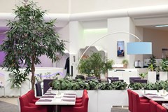 Novotel Moscow Sheremetyevo: Restaurant - photo 31