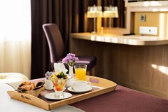 Novotel Moscow Sheremetyevo: Room SUITE STANDARD - photo 65