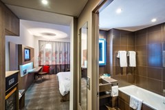 Novotel Moscow Sheremetyevo: Room DOUBLE STANDARD - photo 76