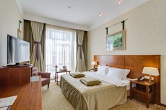 Peter I: Room APARTMENT STANDARD - photo 23